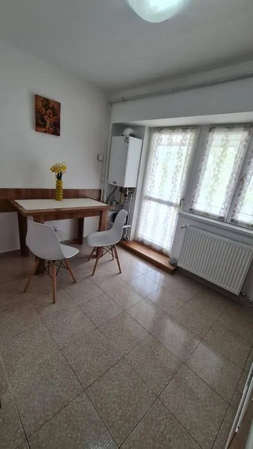 Vs Central Apartment Otopeni