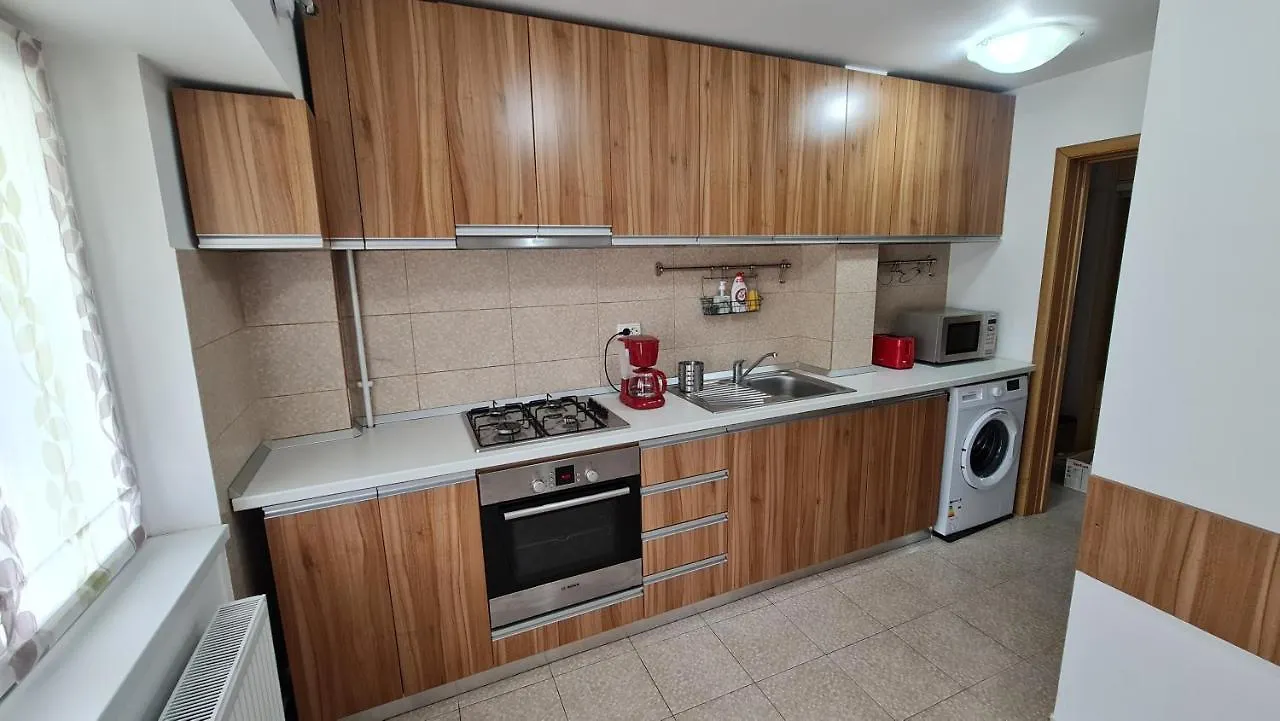 Vs Central Apartment Otopeni