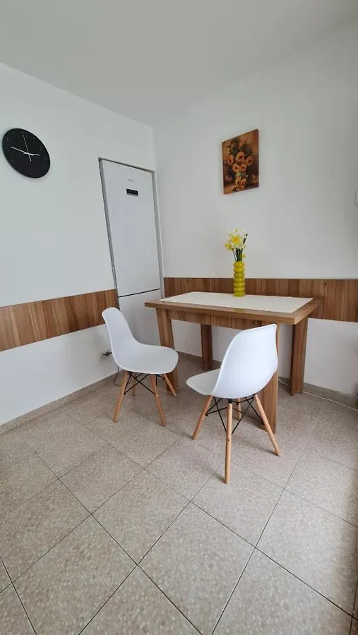 Vs Central Apartment Otopeni Romania