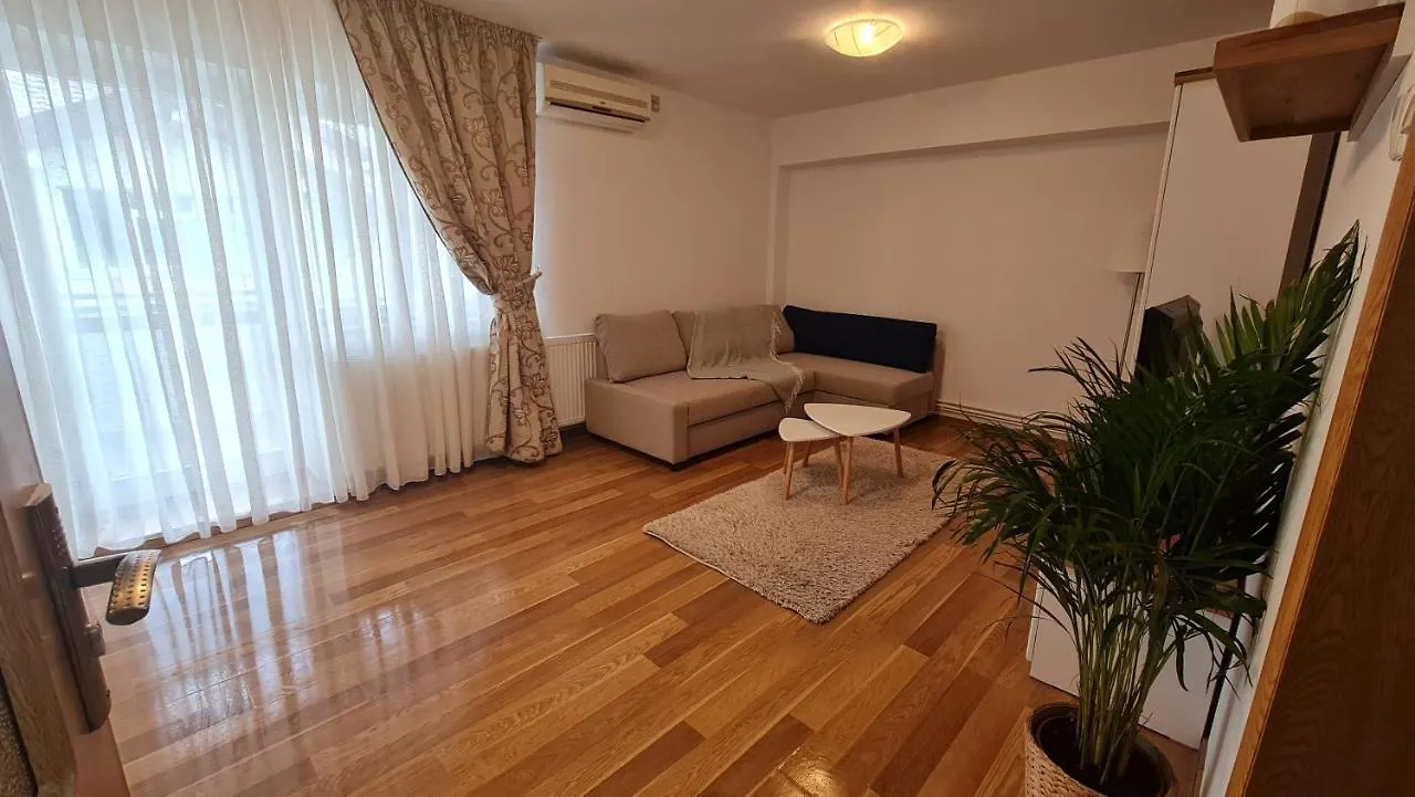 Vs Central Apartment Otopeni