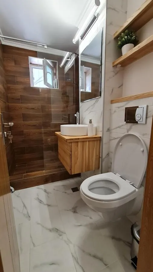 Vs Central Apartment Otopeni